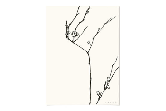 FredericForest_Branch_Etude10_Original_Drawing_30x40cm