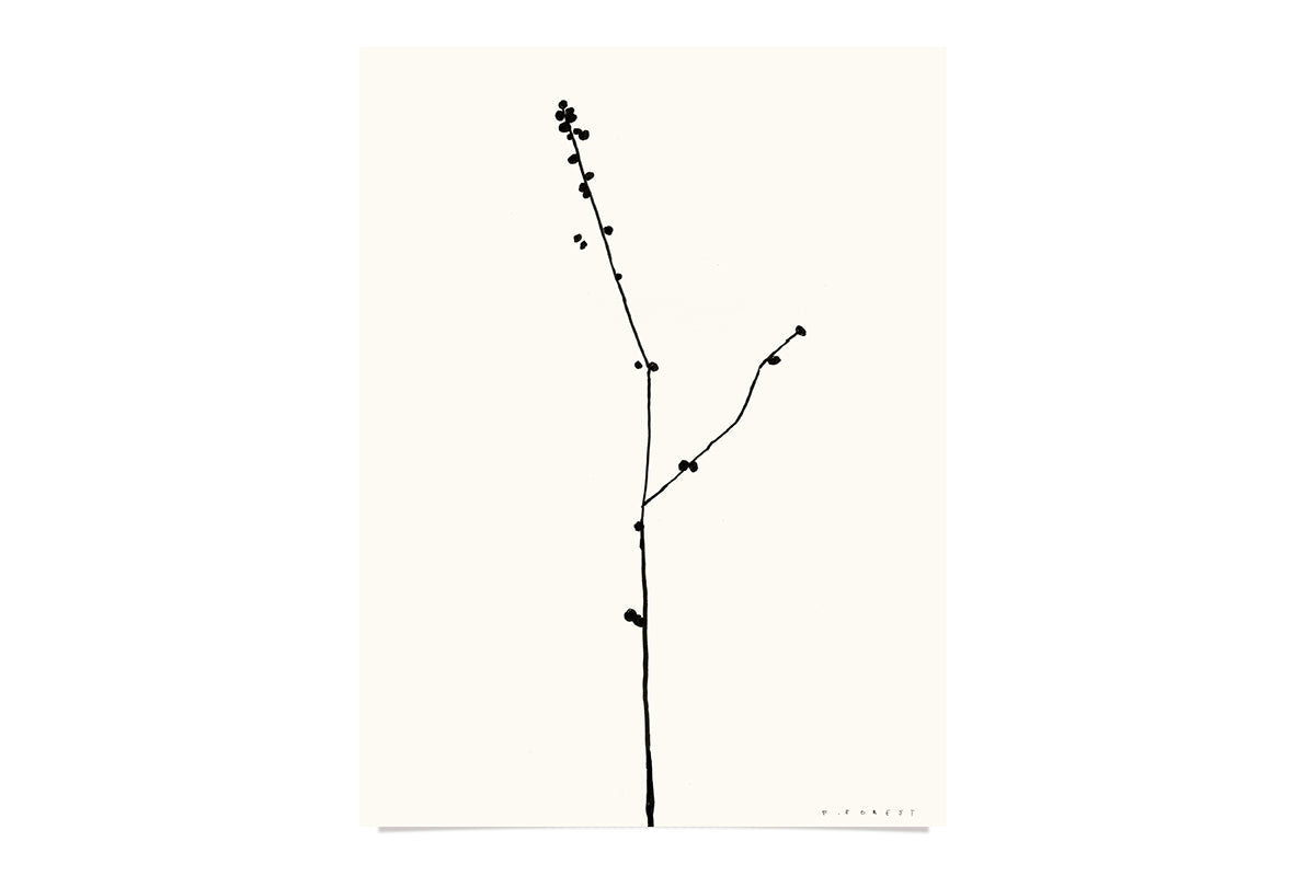 FredericForest_Branch_Etude11_Original_Drawing_24x32cm