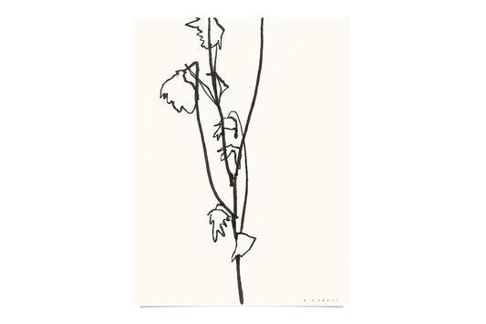 FredericForest_Flower_Etude19_Original_Drawing_24x32cm