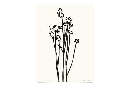 FredericForest_Flower_Etude27_Original_Drawing_24x32cm