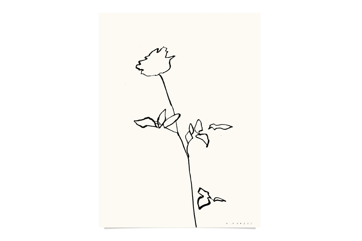 FredericForest_Flower_Etude34_Original_Drawing_24x32cm