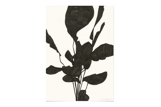 FredericForest_Plant_Etude23_Original_Drawing_21x30cm