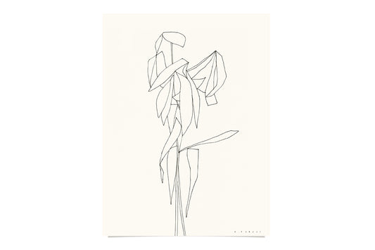 FredericForest_Plant_Etude59_Original_Drawing_24x32cm