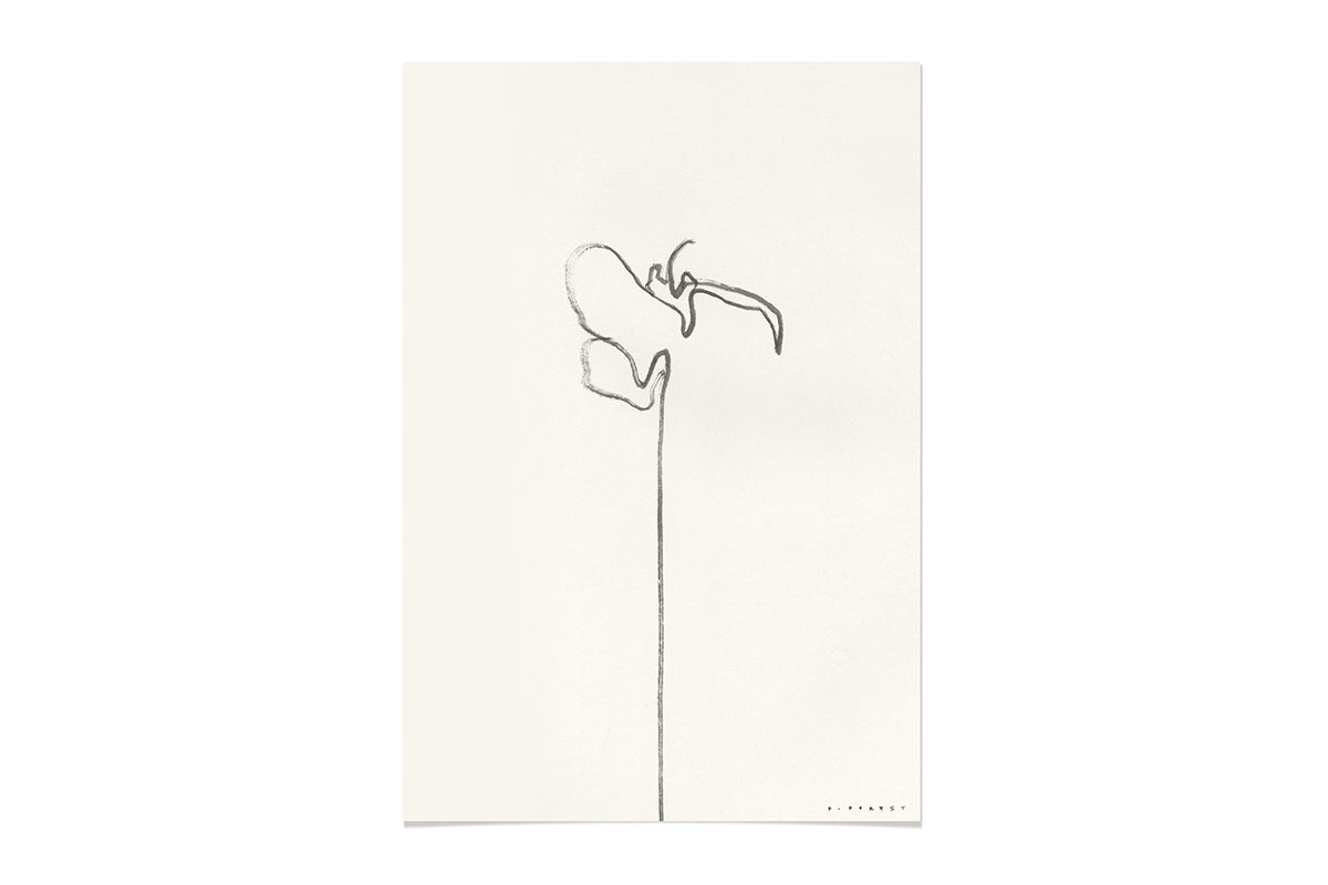 FredericForest_WhiteOrchid _Etude1_Original_Drawing_17x25cm